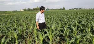 青神县：“涛哥哥”吹响田园牧歌