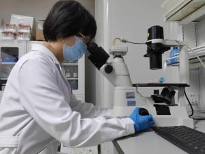 医工合作  摩擦纳米发电机可实现肿瘤的精确诊断和治疗