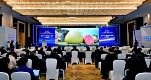 第二届“科创会”集中发布30个重大科创项目