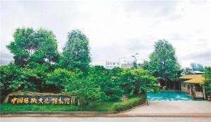 让文化与味道齐飞