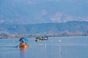 感受湿地与城市共生之美