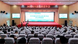 以新质生产力助推川茶产业高质量发展