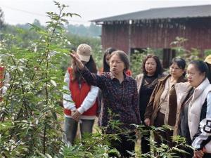 巾帼助农惠企业  科技赋能促振兴