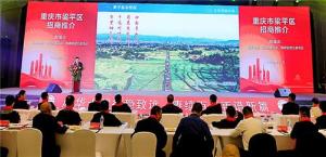 重庆市梁平区招商引资推介会在成都举行
