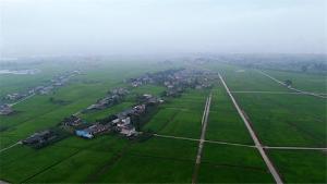 眉山洪雅：推进和美乡村建设 改善群众人居环境