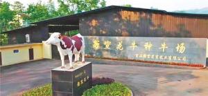 以科技为引 奏响田园牧歌交响曲