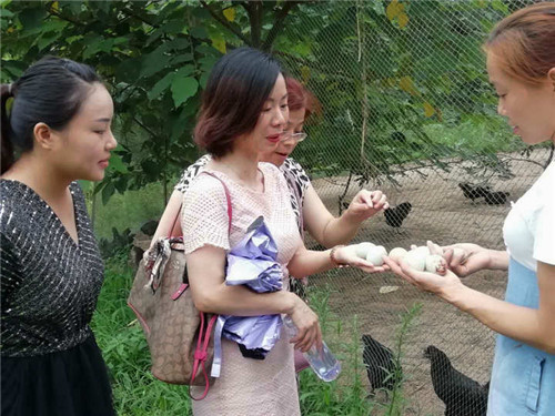 微信图片_20200526171543_wps图片.jpg
